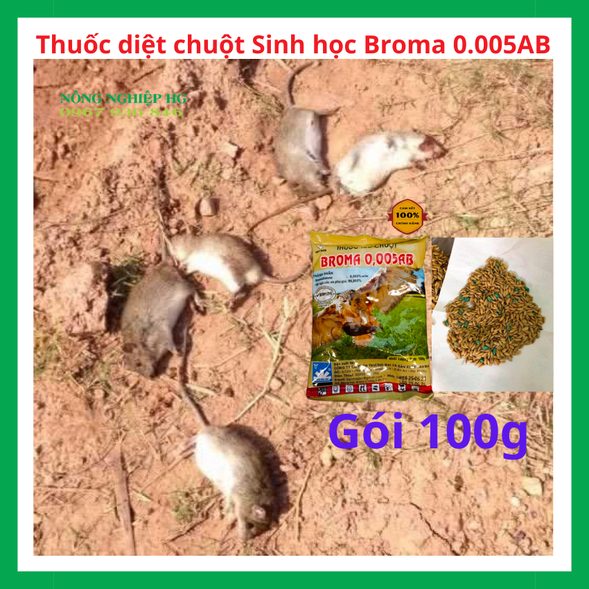 Thuốc diệt trừ chuột trộn sẵn Broma 0.005AB, GÓI 100G, Bả trừ chuột dạng lúa, Thuốc diệt trừ chuột lúa trộn sẵn, thuốc diệt chuột hiệu quả, thuốc trừ chuột không độc hại, thuốc diệt chuột sinh học