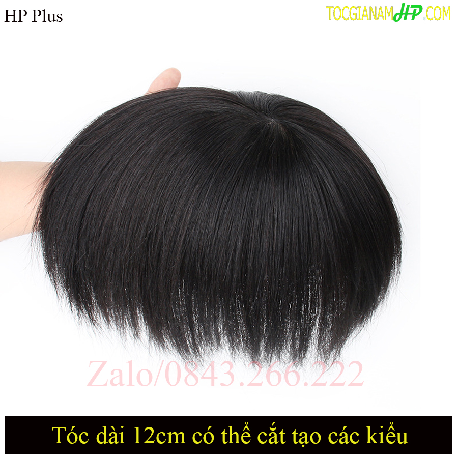 Tóc giả màu muối tiêu cho người lớn tuổi (búi tiêu) - #1 Tóc Giả Đẹp từ tóc  thật tại Hà Nội | Dream Hair