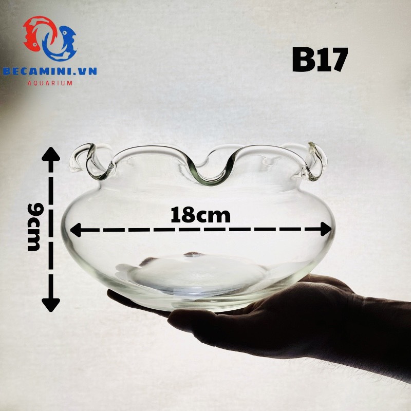 Bể cá mini - chậu cá để bàn -B17 bể cá tròn