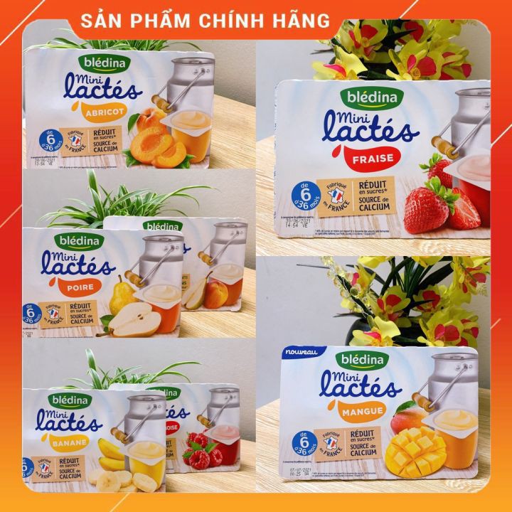 Sữa chua / váng sữa nestle - sữa chua bledina - cho bé từ 6 tháng