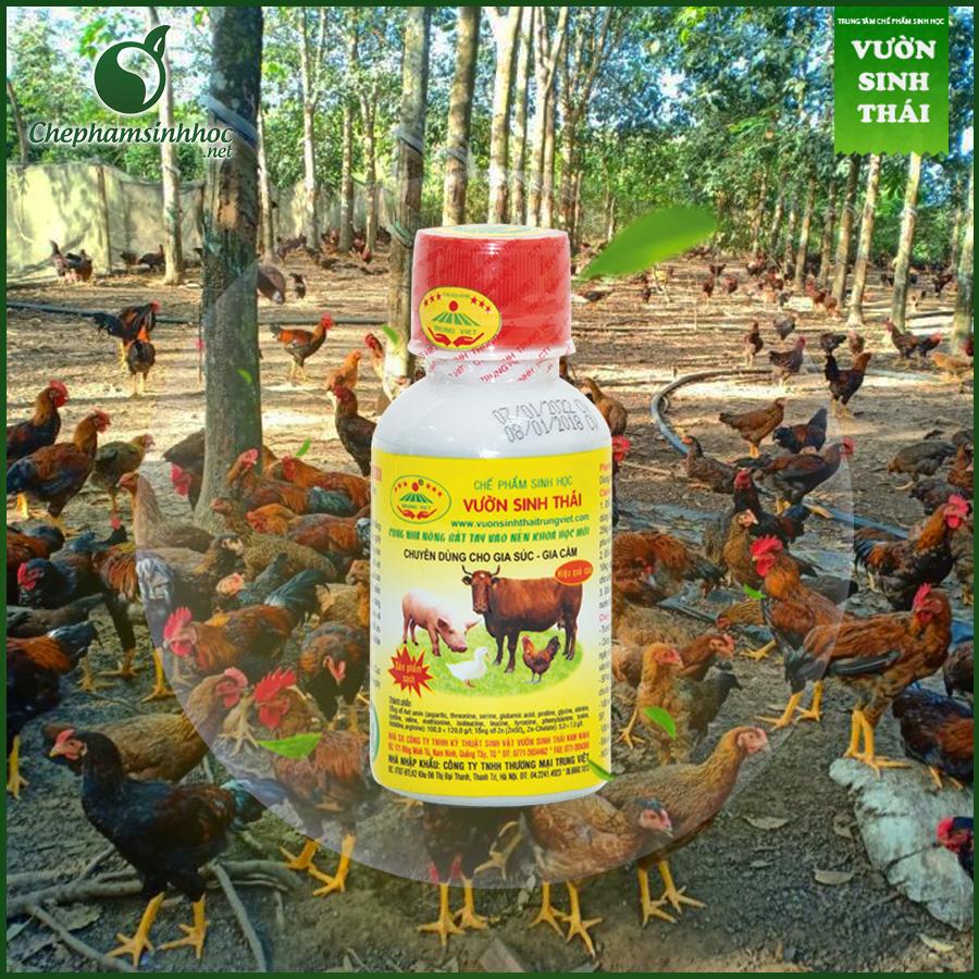 Vườn sinh thái chăn nuôi gia súc, gia cầm (dinh dưỡng cho vật nuôi)