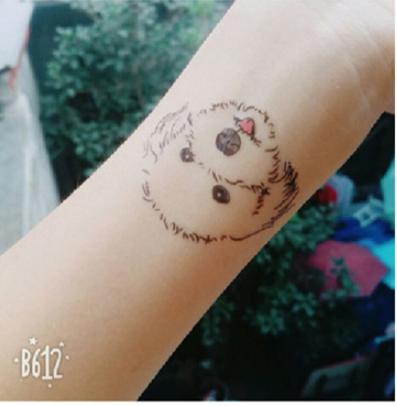 Hình dán chó cún poodle trắng c14