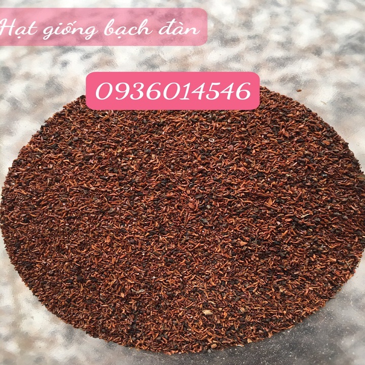 Hạt giống Bạch Đàn