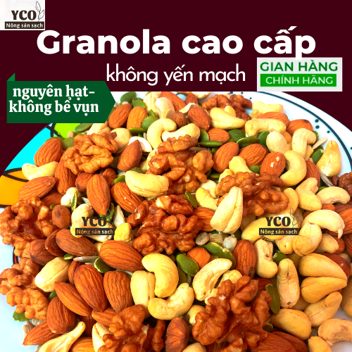 500g granola hạt mix gồm hạnh nhân, óc chó, điều, bí, hướng dương, nho khô