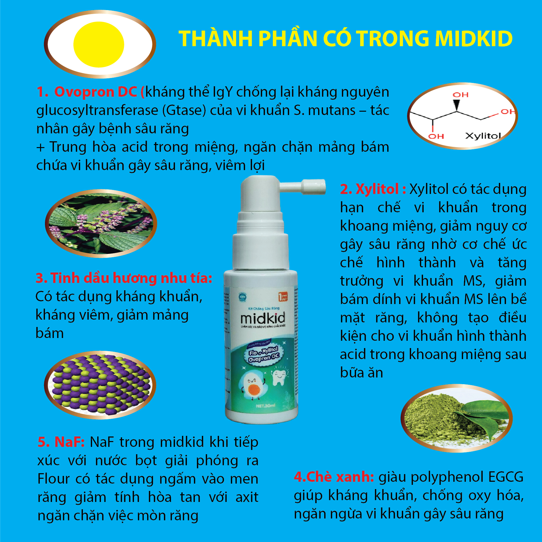 {Hàng chính hãng móp vỏ hộp} Xịt chống sâu răng Mikid chính hãng. Phòng ngừa sâu, sún, mủn răng ở trẻ nhỏ. Bảo vệ men răng ,ngừa ố vàng (dành cho bé từ 1 tuổi)- Chai xịt 30ml
