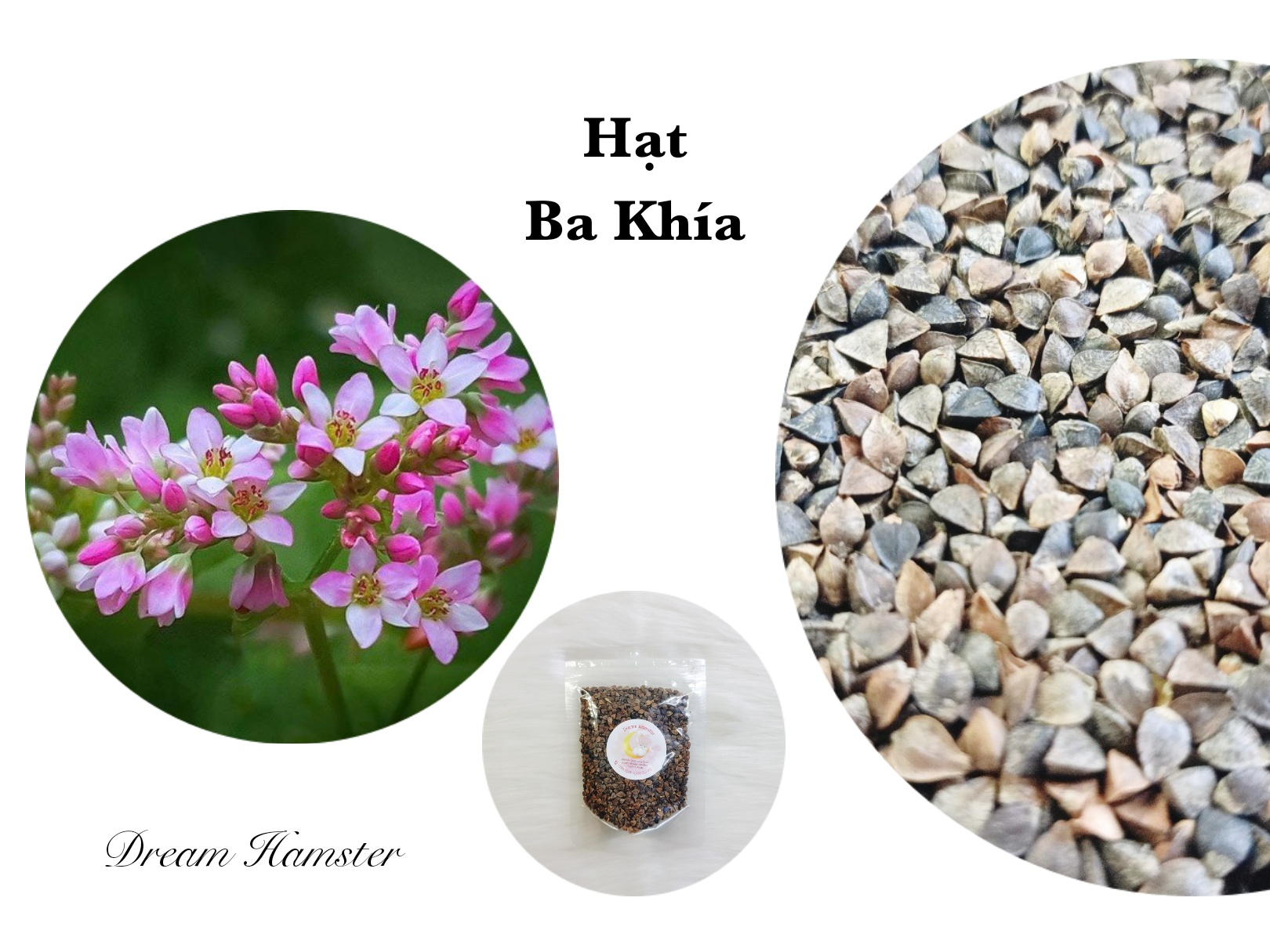 Hạt tam giác mạch/ba khía cho Hamster