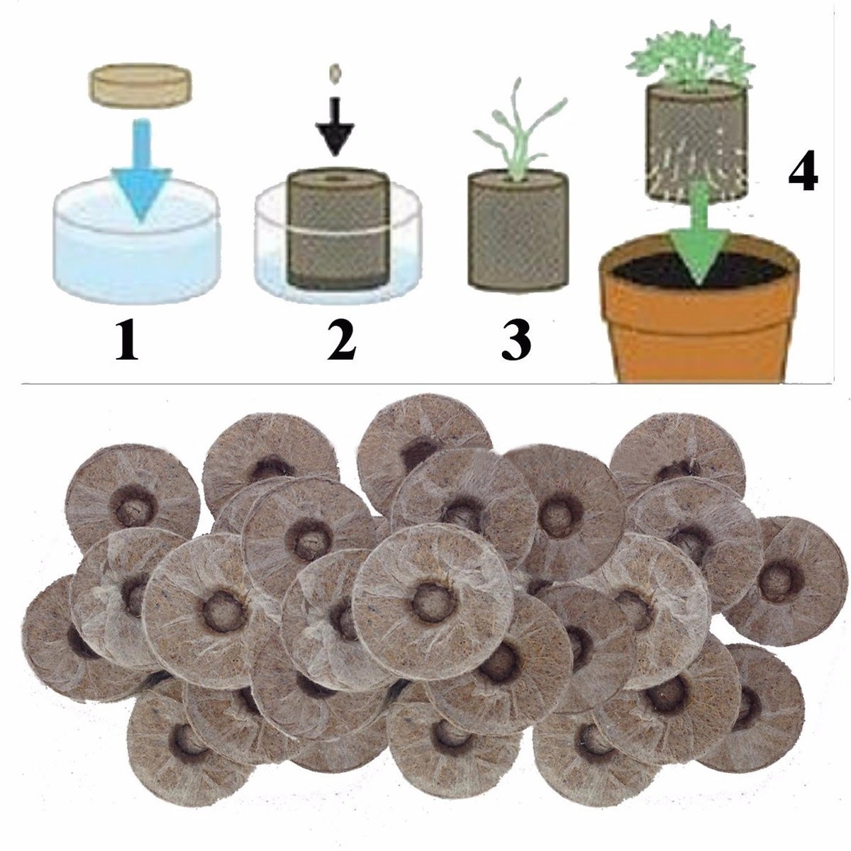 50 Viên Nén Ươm Hạt, Kích Mầm Bằng Xơ Dừa (Nở 6Cm)