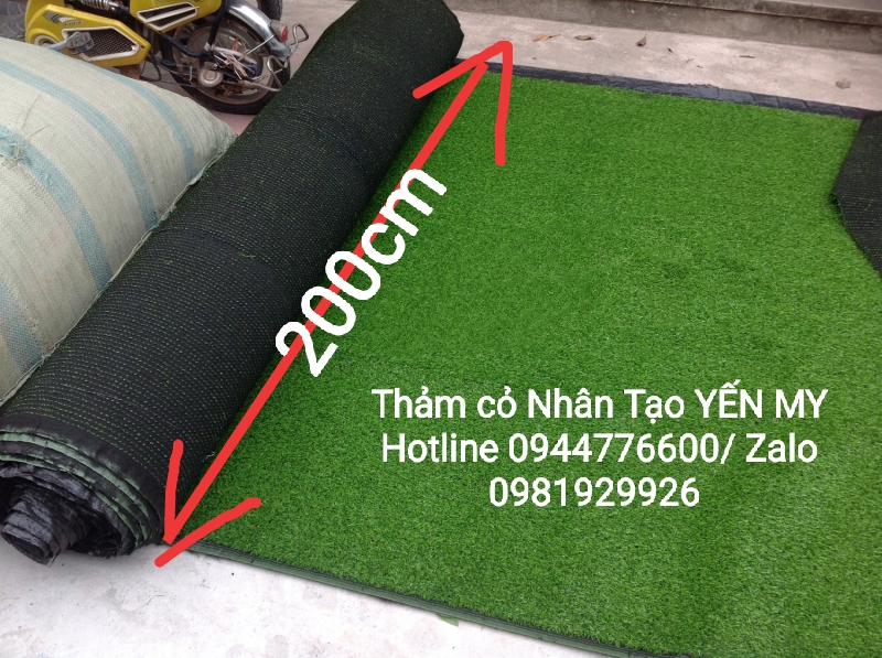 5 MÉT VUÔNG THẢM CỎ NHÂN TẠO CỎ CAO 2CM-Kích Thước Tấm cỏ 2m * 2m50