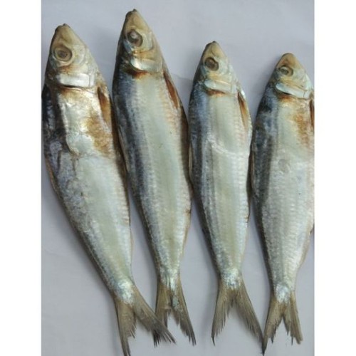 Sale 500g Khô cá trích - cá biển Phan Thiết