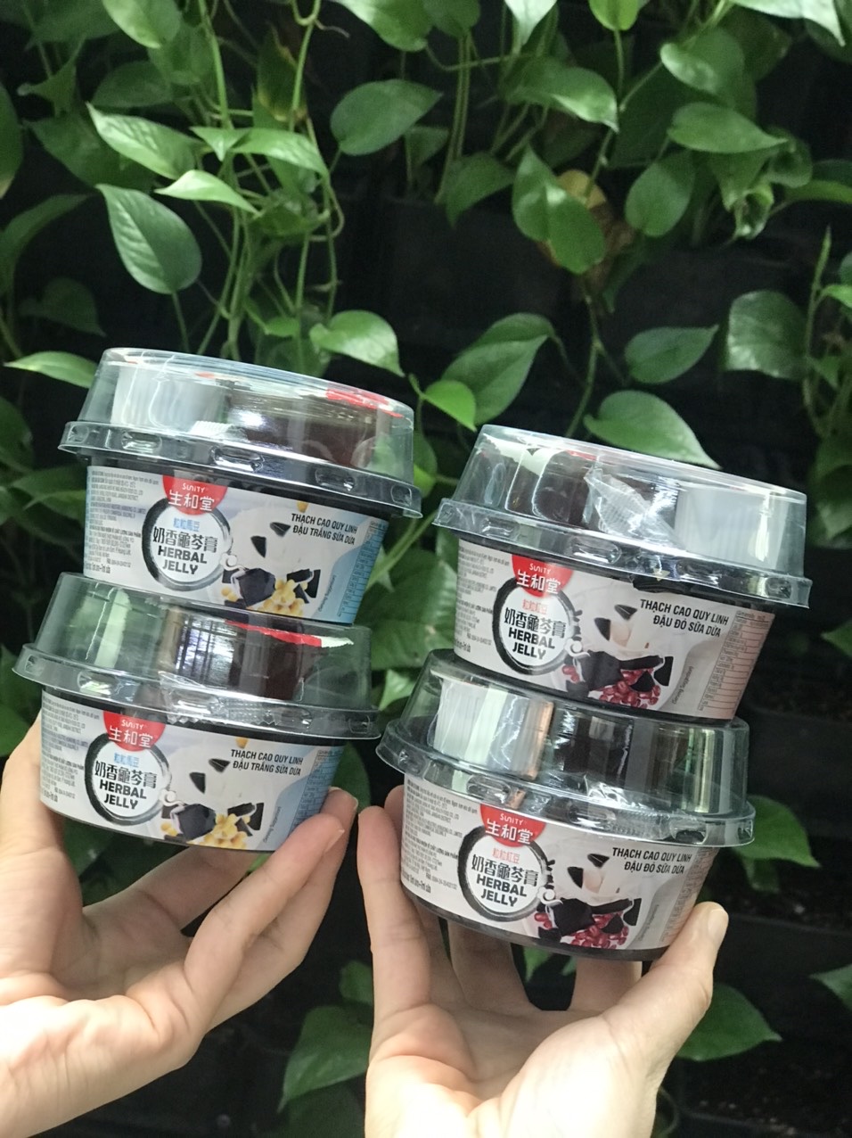 Combo 5 hộp Thạch cao quy linh Nếp cẩm sữa dừa 222g