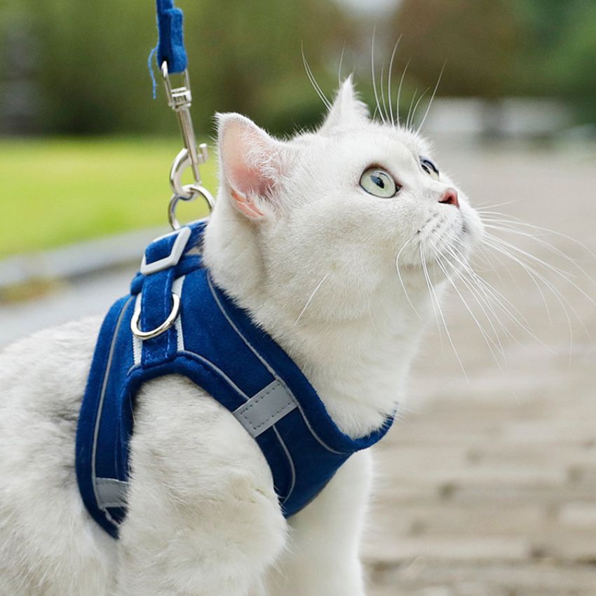 Dây yếm ôm khít cao cấp cho chó mèo dẫn bé đi chơi, đi công viên, đi xe.