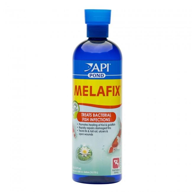 API Pond Melafix kháng khuẩn cho các bệnh cho cá chép koi và cá vàng bao gồm mây mắt, nấm miệng, sán, thối đuôi & vây, vây bị hư hỏng, loét và vết thương hở.