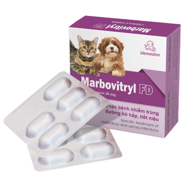 Marbovitryl FD - Hỗ trọ các vấn đề nhiễm trùng, đường hô hấp, tiết niệu trên chó, mèo ( hộp 10 viên)