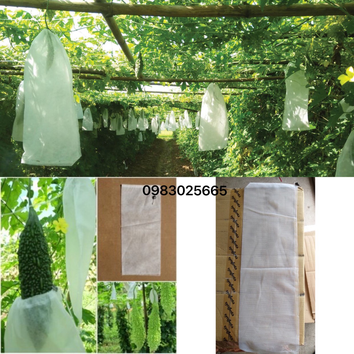 100 túi bao trái mướp, khổ qua - kt 15 x 50cm