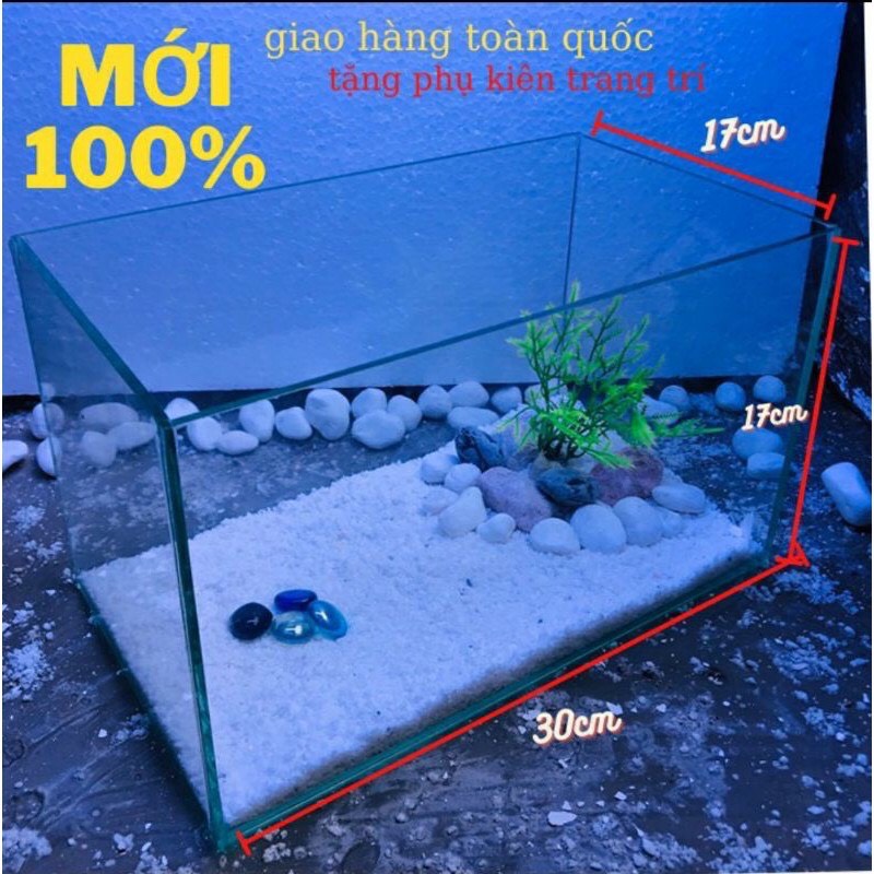 Bể cá mini 30x17x17 kính 5ly