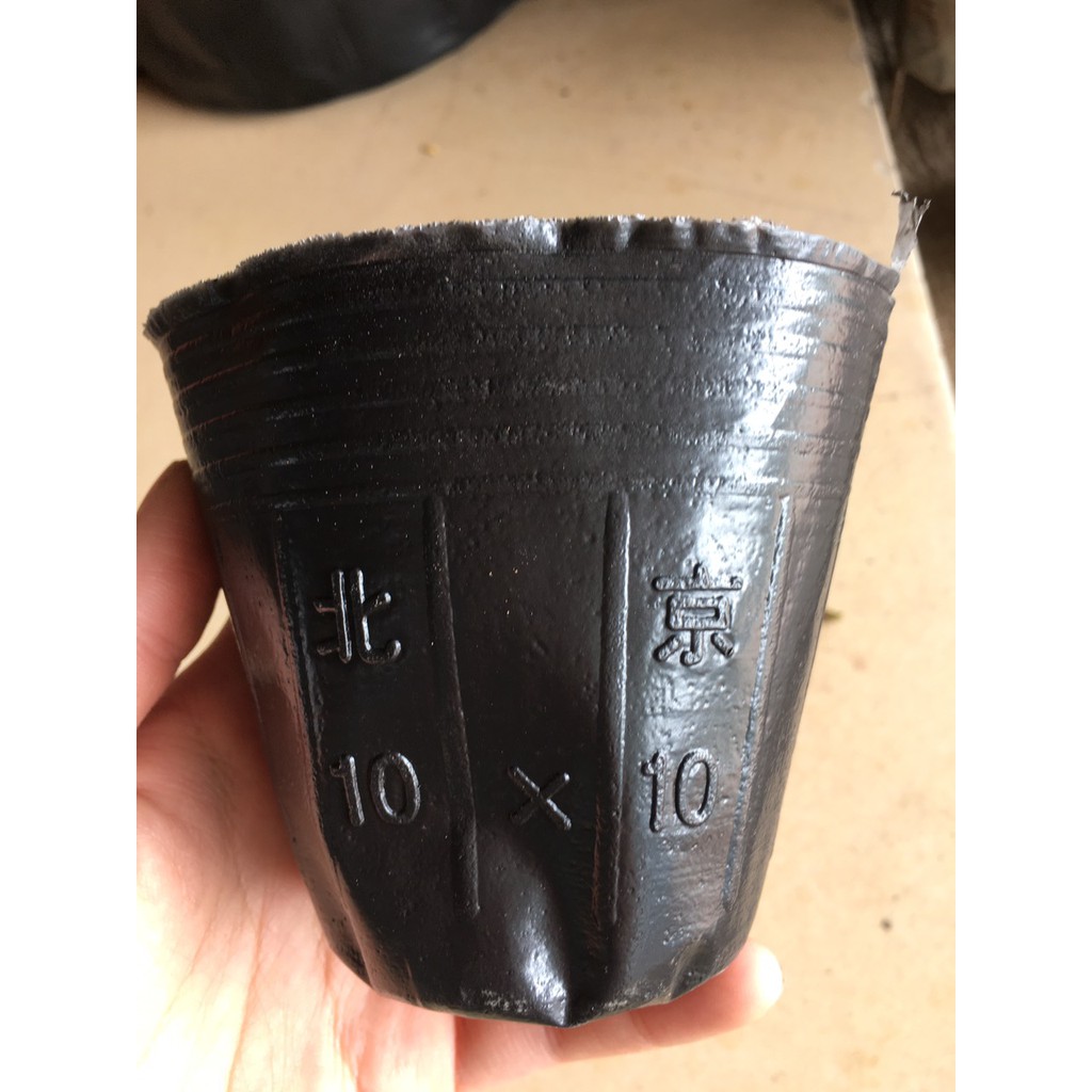 Bầu tròn ươm cây size 10x10 - có thể tái sử dụng