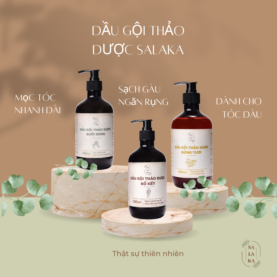 Dầu Gội Bưởi, Bồ Kết, Gừng, ngăn rụng, sạch gàu, mọc tóc, mềm mượt thảo dược Salaka