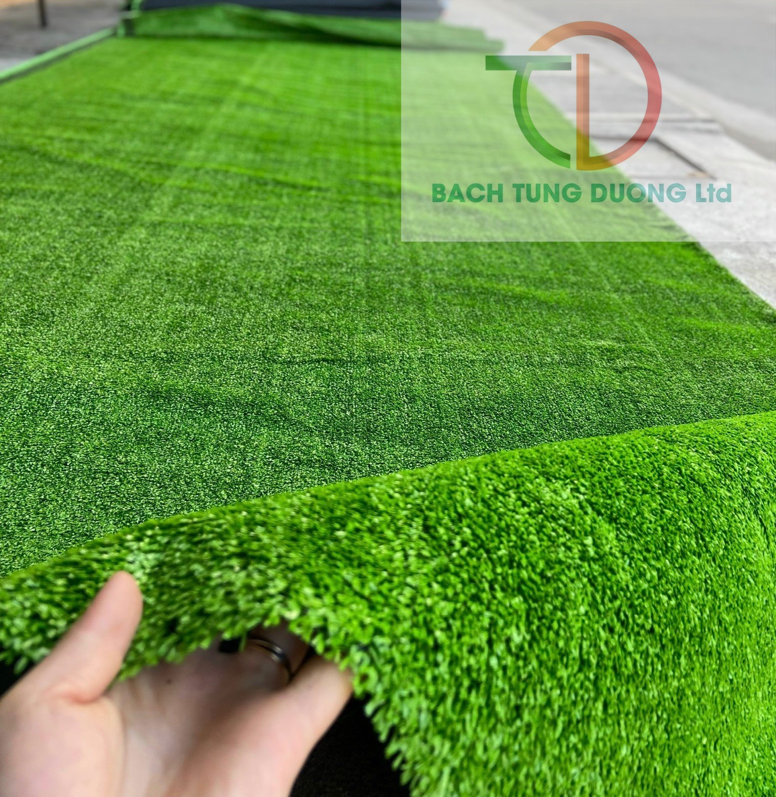 Thảm cỏ nhân tạo trải sàn hàng đẹp ngọn cao 1cm loại đế dày