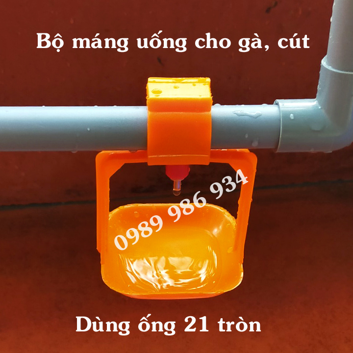 Máng uống tự động cho gà, chim cút dùng ống 21 dễ lắp đặt