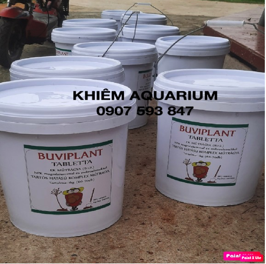 [TẶNG 15V] VITAMIN SIÊU DINH DƯỠNG CHO CÂY CẢNH -  GÓI 30V