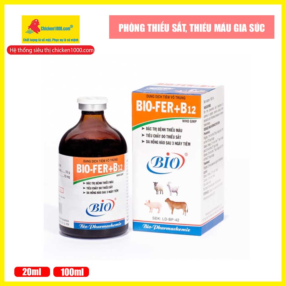 Thuốc thú y fer + b12 10% bio trị tiêu chảy do thiếu sắt trên heo, bò, dê, cừu