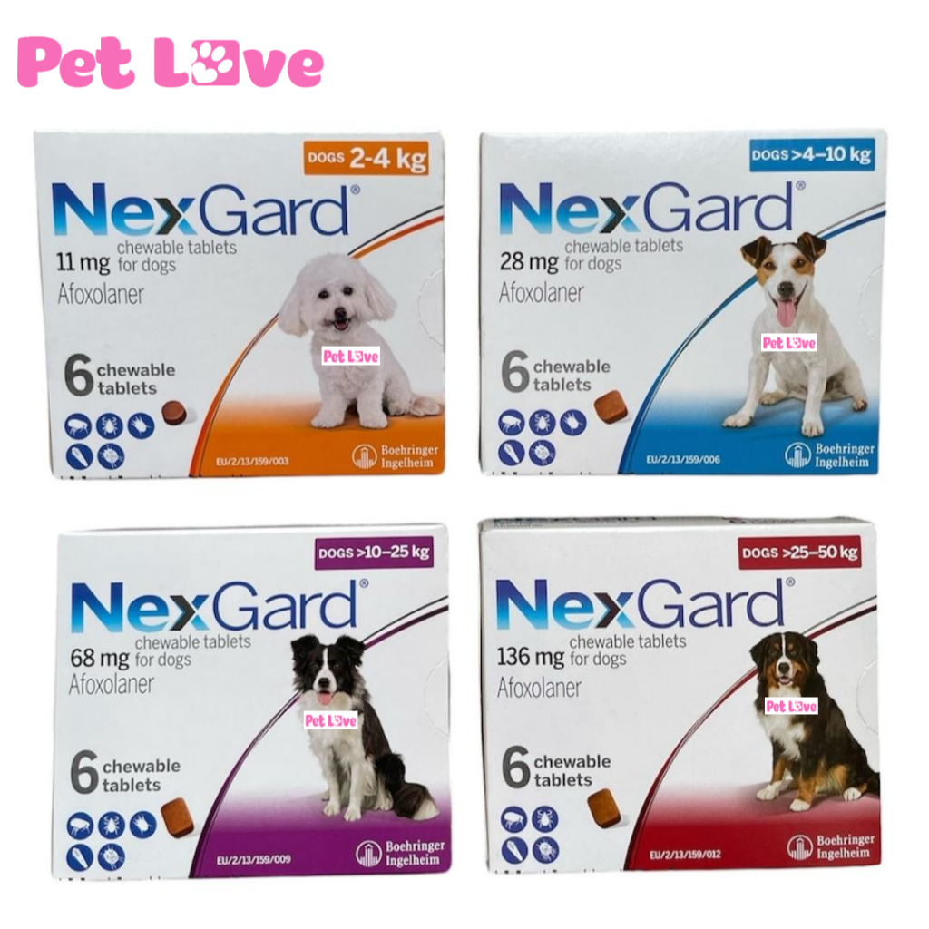 Viên nhai Nexgard diệt ghẻ, bọ chét, ve rận chó (Boehringer, sản xuất tại Pháp)
