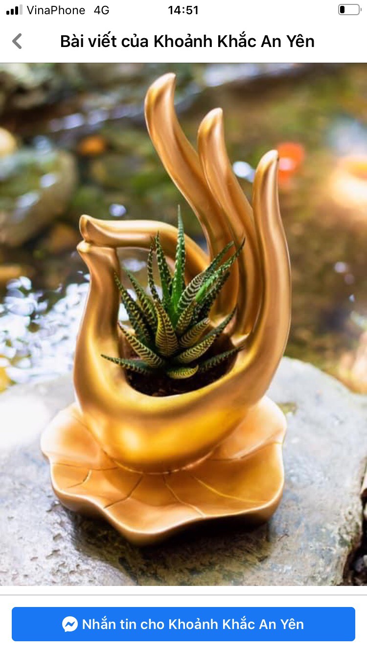 [HCM]Chậu trồng cây hình Bàn tay Phật An Nhiên