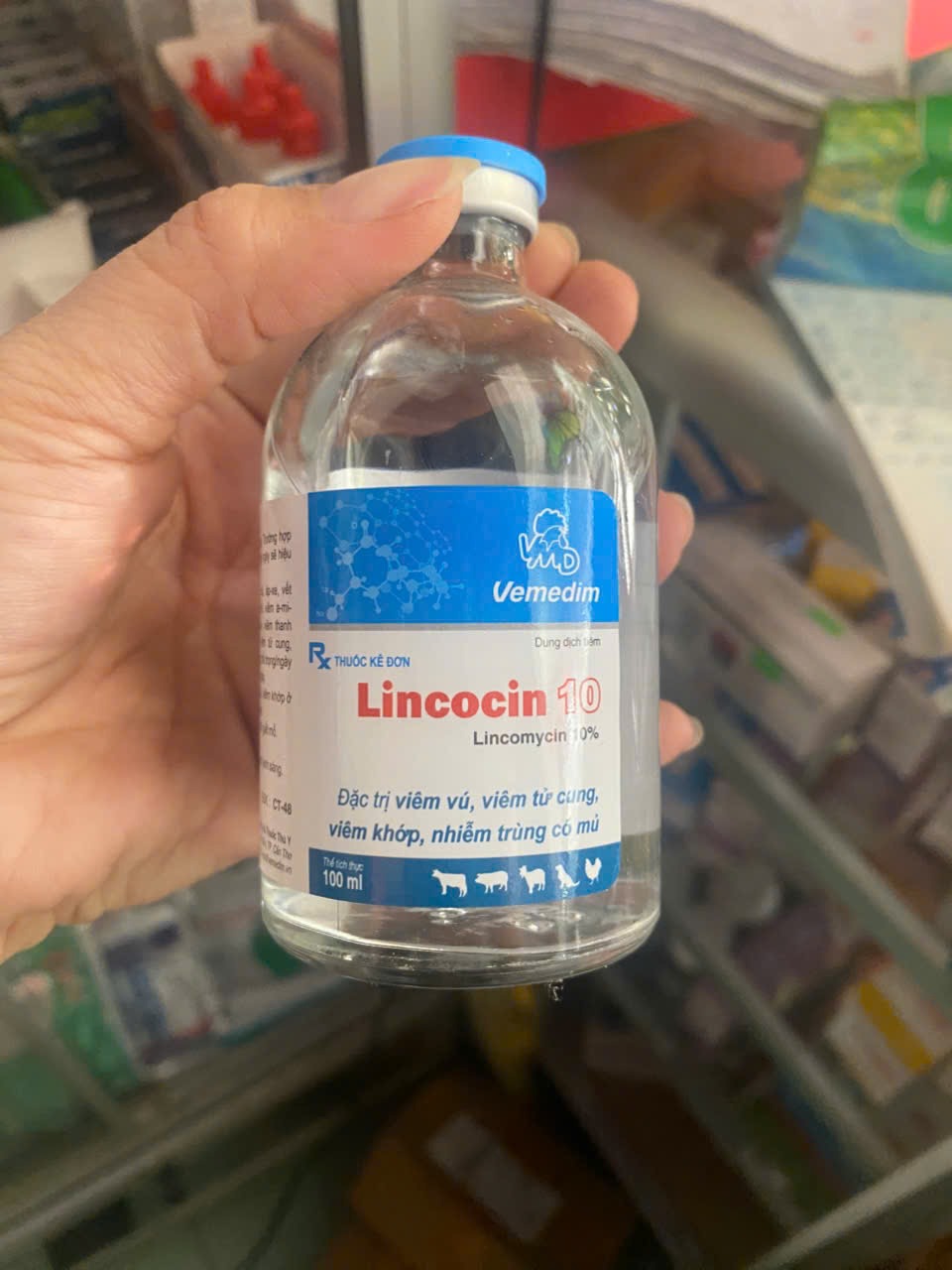 Lincocin 10 chai 100ml trị viêm vú, viêm tử cung, viêm khớp , nhiễm trùng có mũ