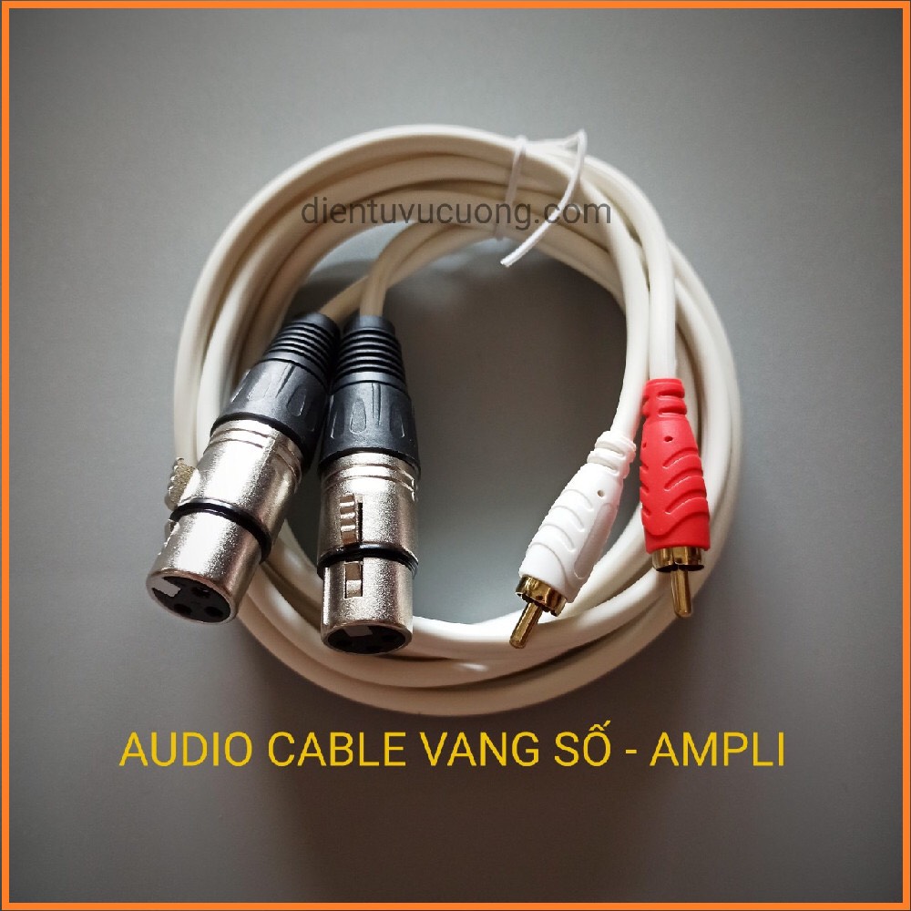 Cáp kết nối vang số - ampli