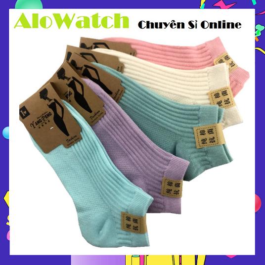 Tất vớ nữ sọc nổi trơn màu cotton dày mịn cao cấp alowatch