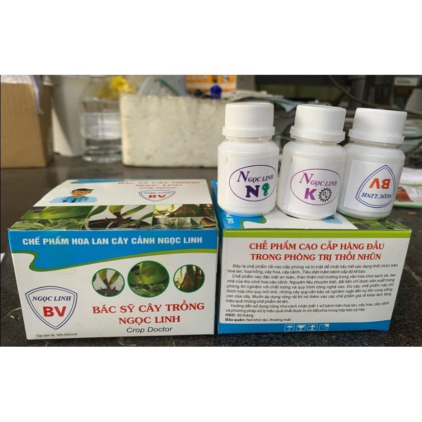 Bố sản phẩm trị nấm, thối nhũn cho lan
