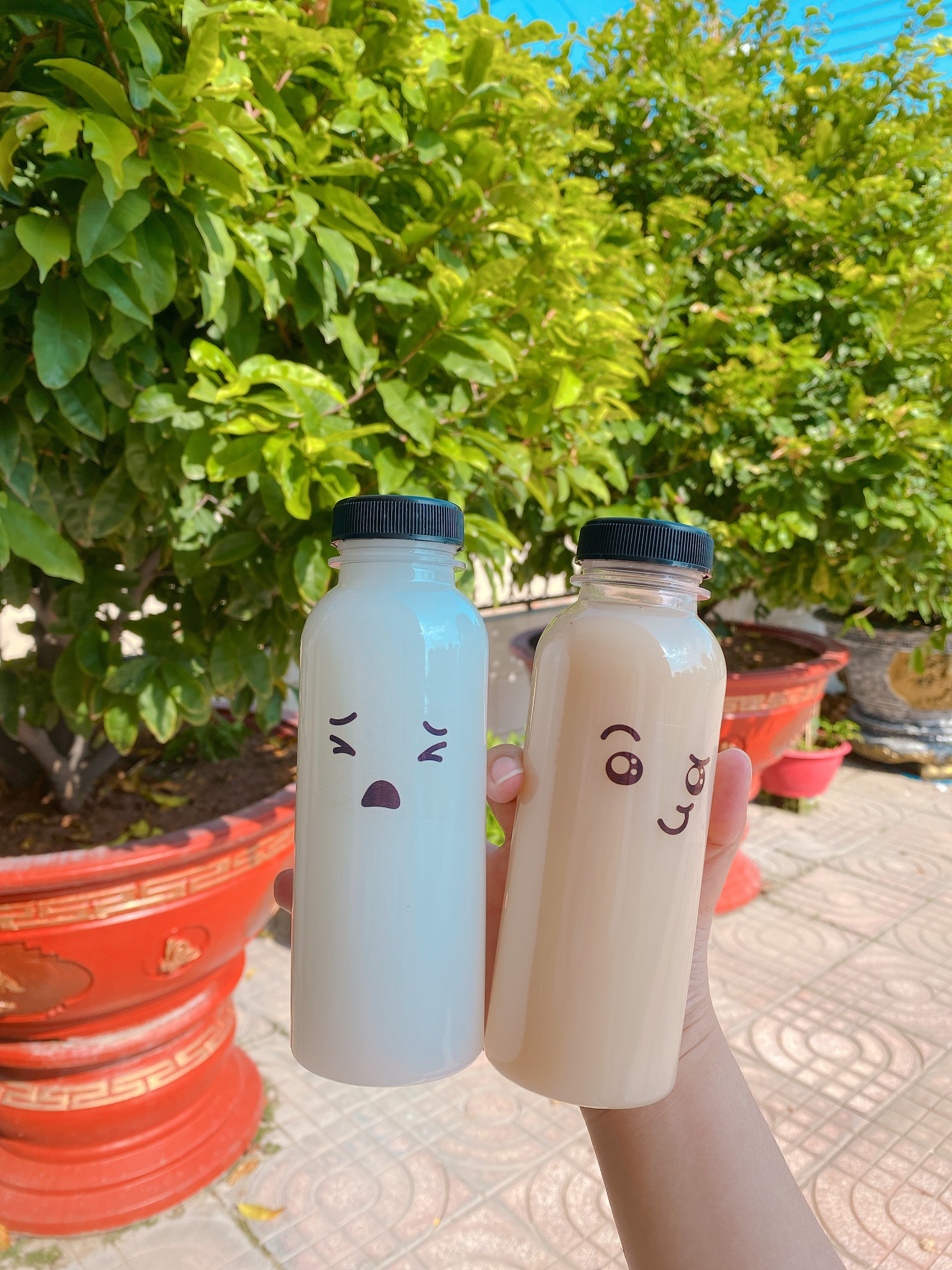 10 chai miệng rộng 330ml-nắp đen