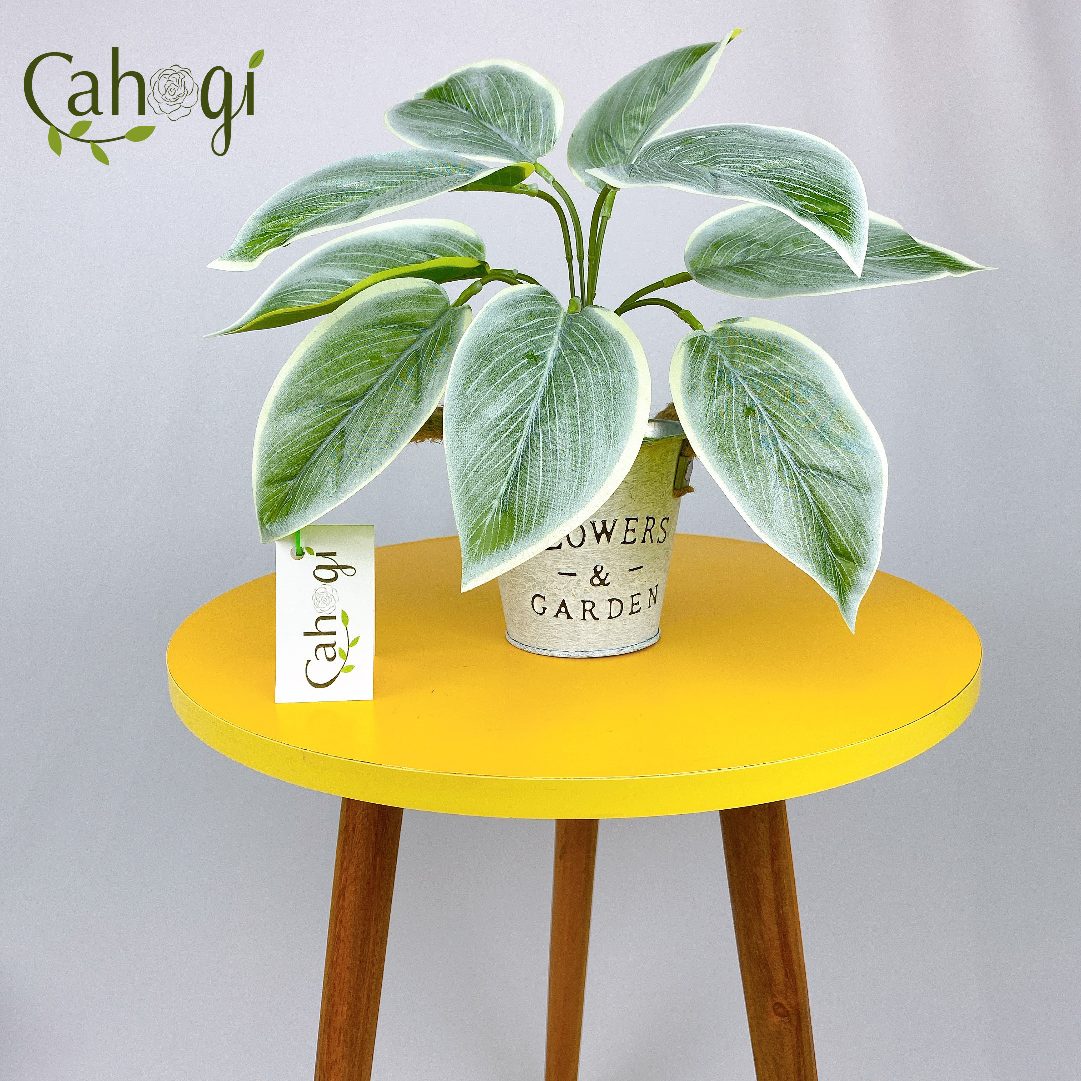 Cây giả cây bạch mã hoàng tử 30cm