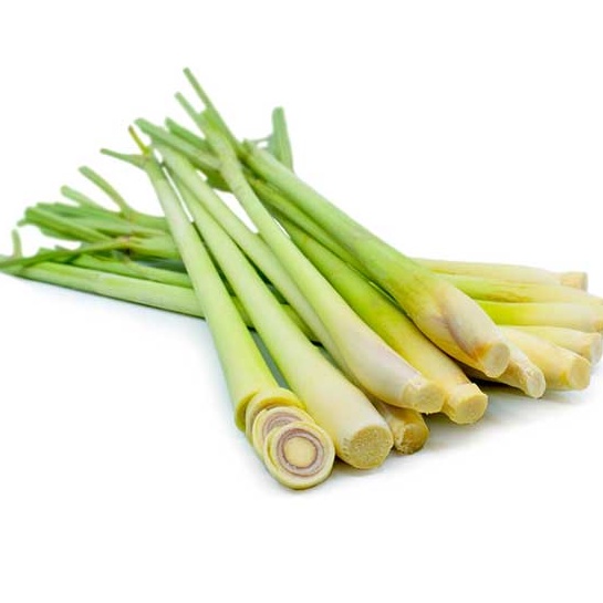 Hạt giống Sả - Củ sả - Sả cây trồng quanh năm