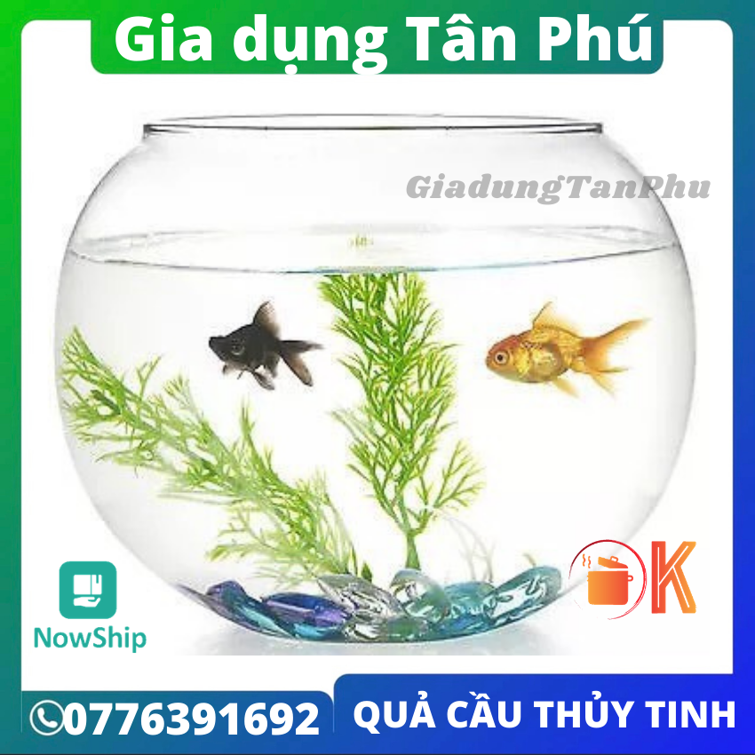 [HCM]Bể cá thủy tinh tròn lớn chậu trồng cây thủy canh nuôi cá size mini lớn nhỏ TP-QC