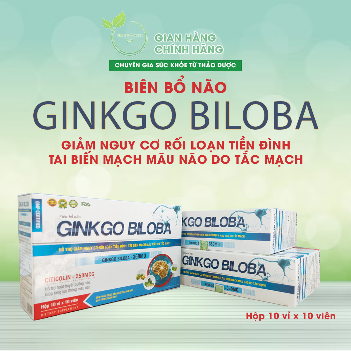 Thực phẩm bảo vệ sức khoẻ Viên bổ não Ginkgo Biloba màu xanh 100 viên hỗ