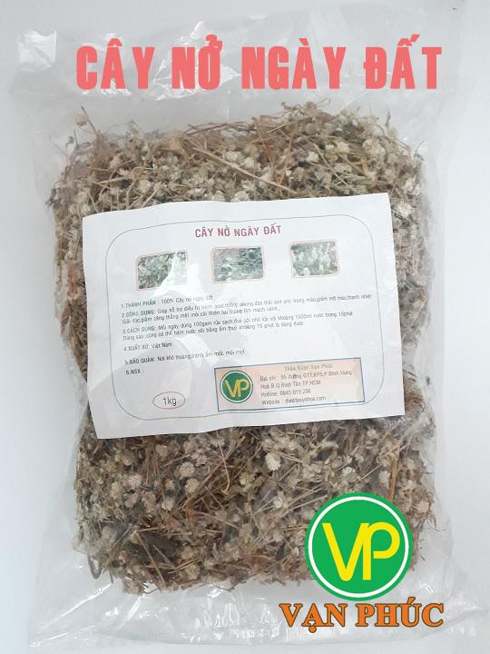 Cây nở ngày đất 1kg sấy khô - Hàng sạch đẹp