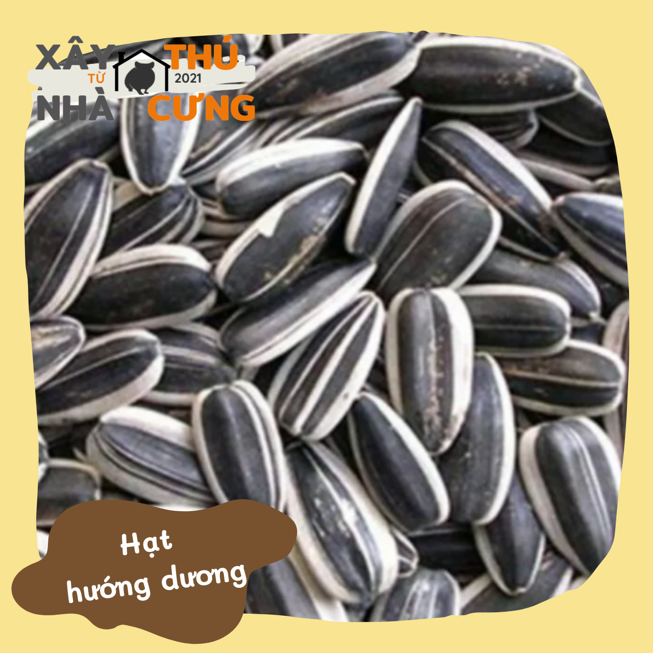 Hạt hướng dương gói 100 gram cho hamster