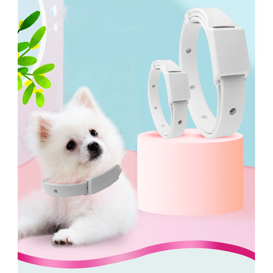 Vòng Cổ Chó Mèo, Đeo Chống Ve Rận Bọ Chét Cho Chó Mèo - Bepetshop