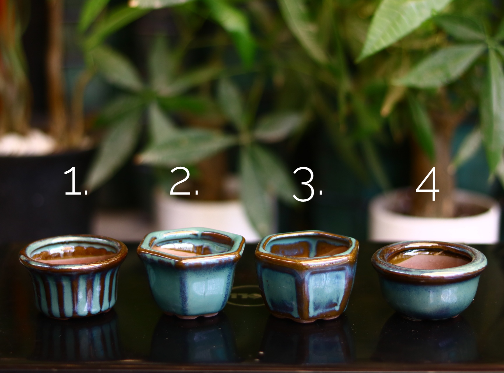 Chậu Bonsai Mini, Trồng Sen Đá, Xương rồng bằng Sứ