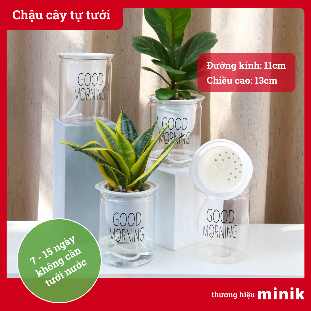 Chậu trồng cây tự dưỡng MINIK, nhựa trong suốt và có chữ good morning, loại nhỏ để bàn làm việc, trang trí, chậu thông minh tự tưới, chất liệu nhựa PP tiêu chuẩn Châu Âu, size 11cm x 13cm
