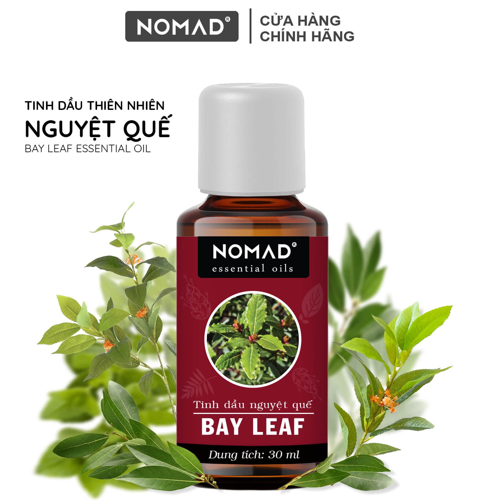 Tinh Dầu Thiên Nhiên Nguyệt Quế Nomad Bay Leaf Essential Oil