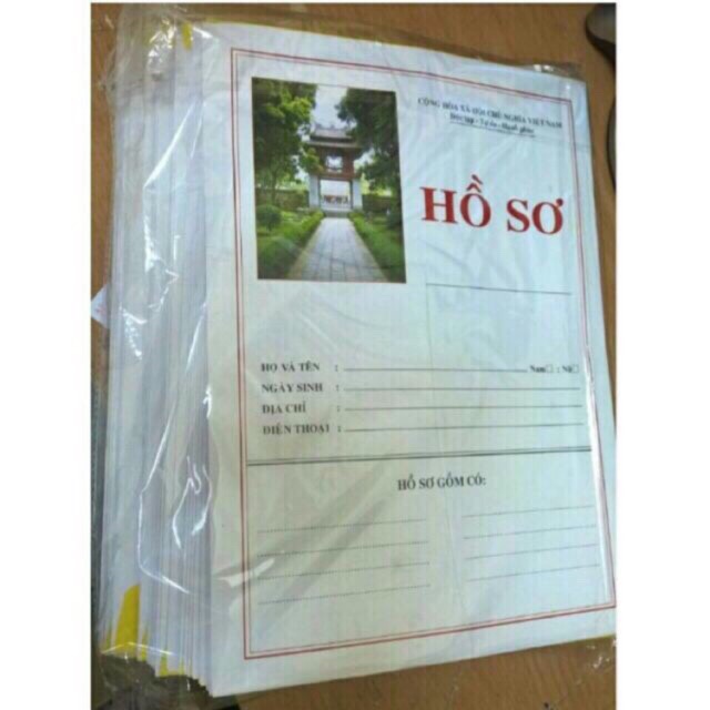 Combo 10 Túi hồ sơ xin việc có ruột
