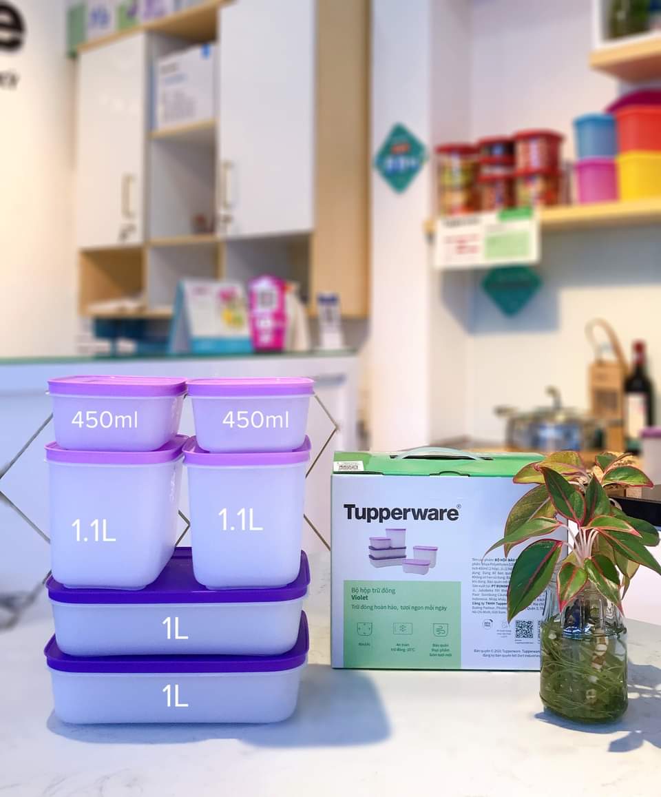 Hàng chính hãng - bộ 6 hộp trữ đông dẻo tupperware violet