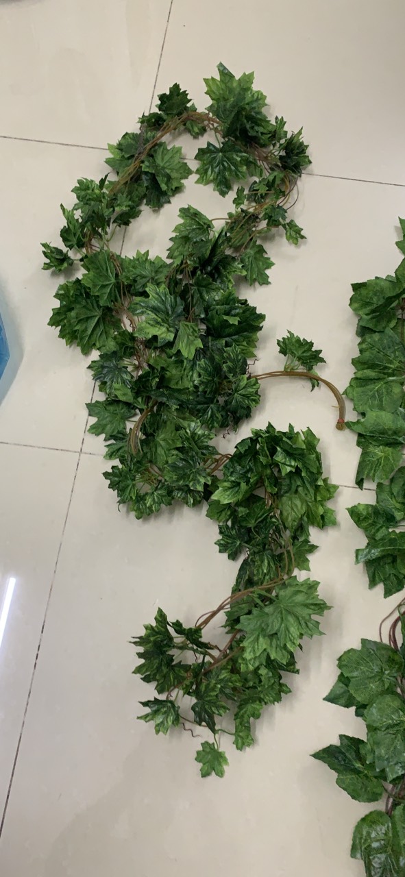 5 dây lá phong lá xanh giả trang trí mỗi dây dài 25m