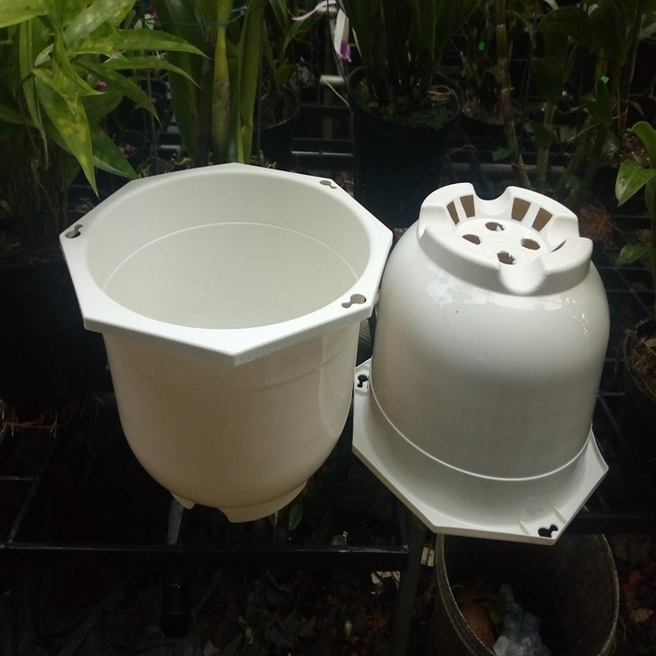10 chậu nhựa trắng  20cm