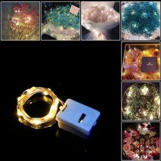 Dây đèn led fairylight đom đóm phát sáng, đèn led 10 bóng 1m dành cho trang trí