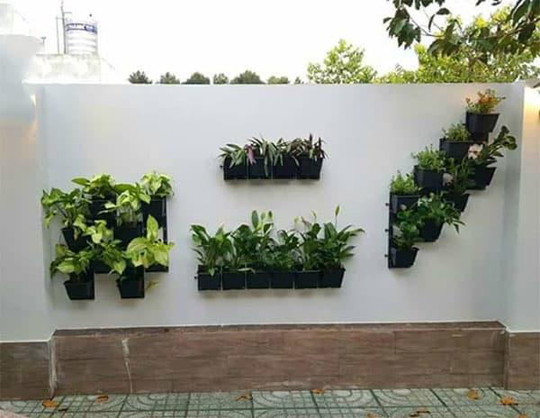 Bộ chậu vườn treo tường đứng hay module vườn tường đứng