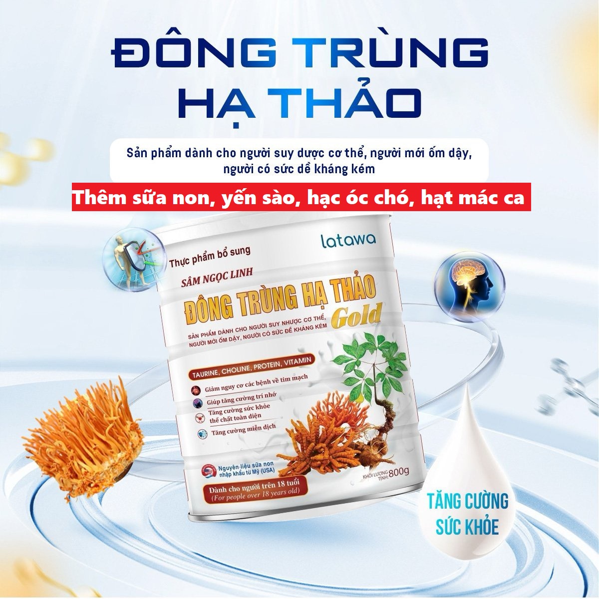 - sữa hồng sâm ngọc linh đông trùng hạ thảo gold.