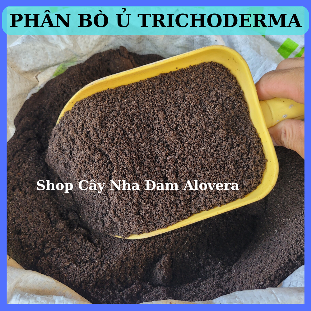 Phân bò đã qua xử lý chuyên rau sạch cây cảnh